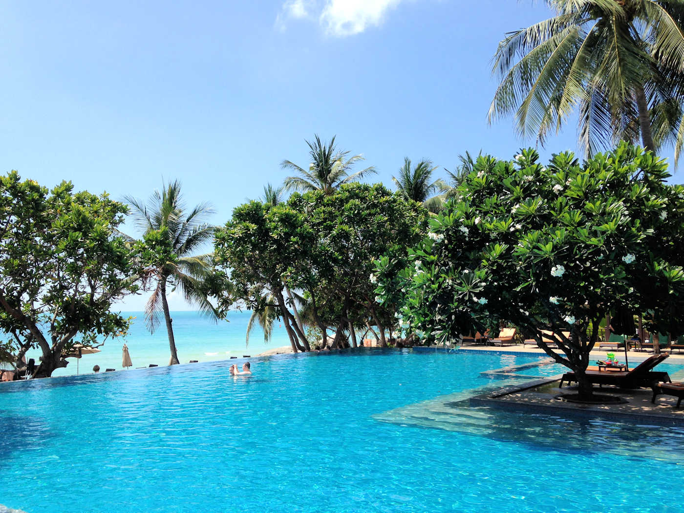 1400 New Star Samui 20160511 031855157 iOS