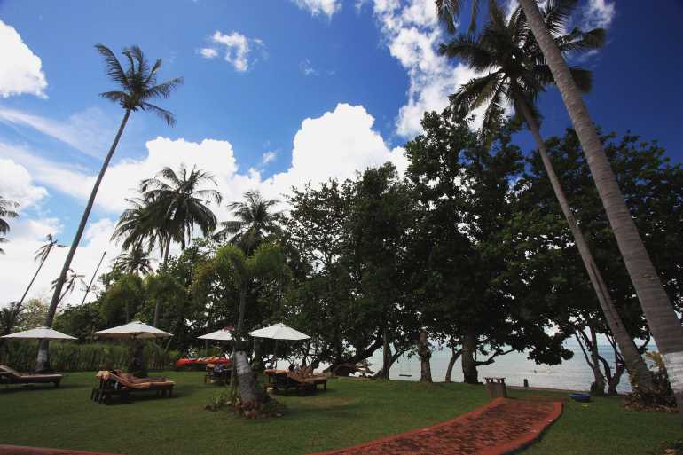 770 Gajapuri Nature Tree at the beach