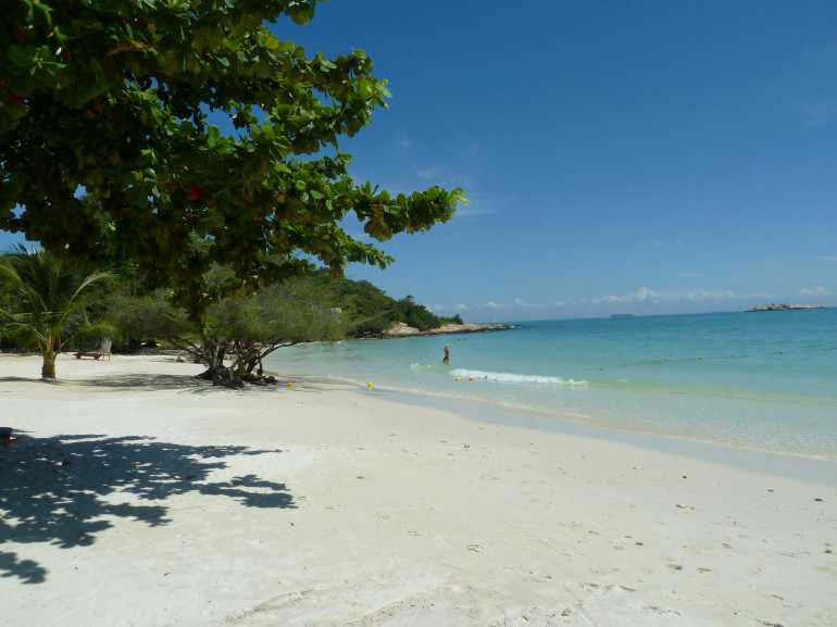 770 Paradee P1070682