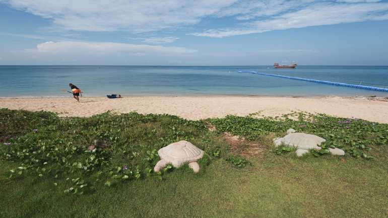 770 Rawiwarin landscape 11