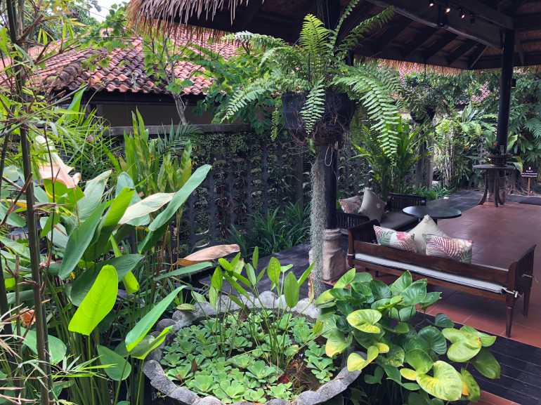 770 Saree Samui 20180912 030648642 iOS