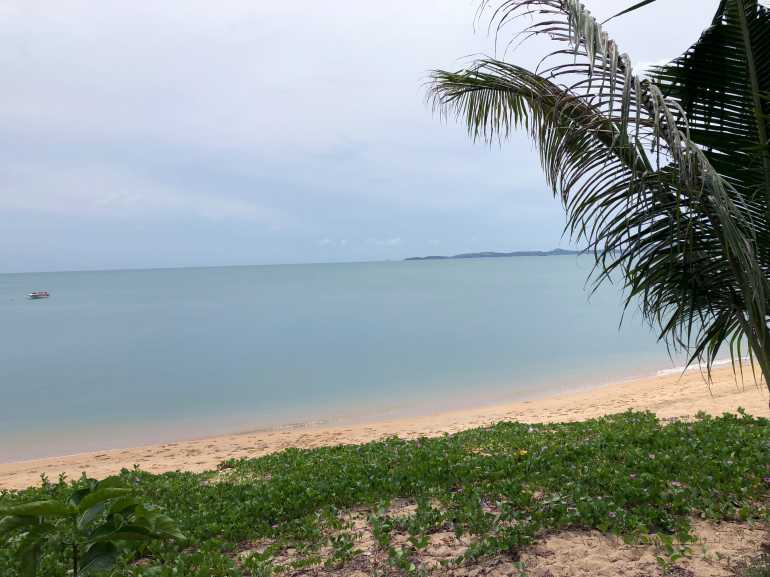 770 Saree Samui 20180912 034418978 iOS