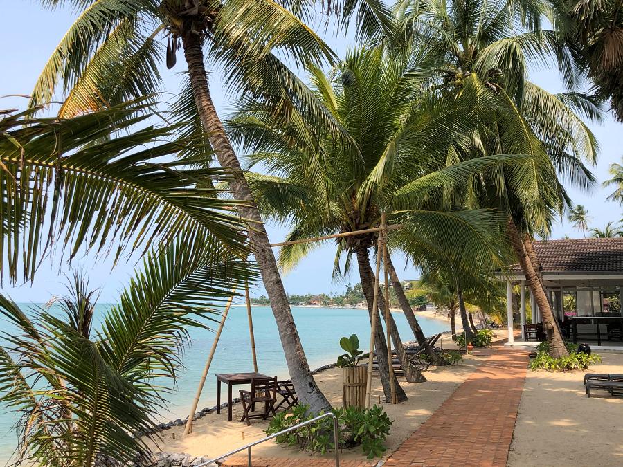 900 61191 20210318 065319127 iOS