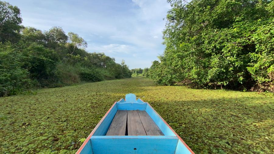 900 61191 20220616 004006401 iOS