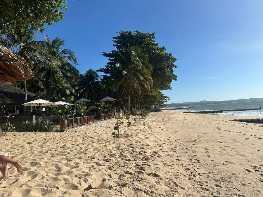 900 Blue Ocean Foto 24 11 24 09 01 01 17