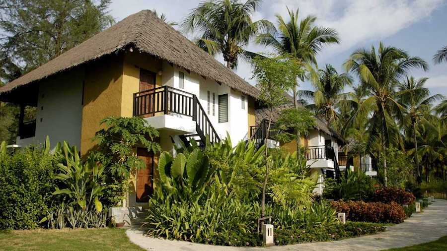 900 COCONUT HG064 30 1024x576