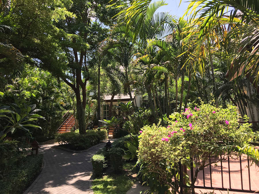 900 Garden 20170601 040027046 iOS