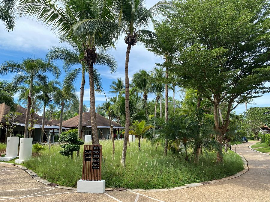 900 Lanta Sand 20221025 030045848 iOS