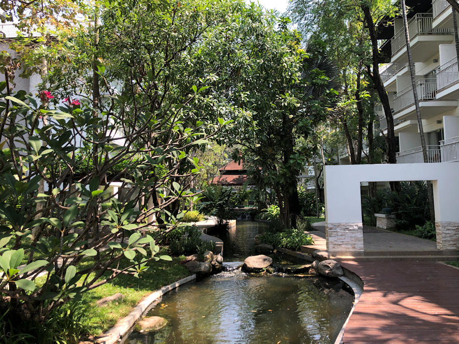 900 Pool The Park Nine view