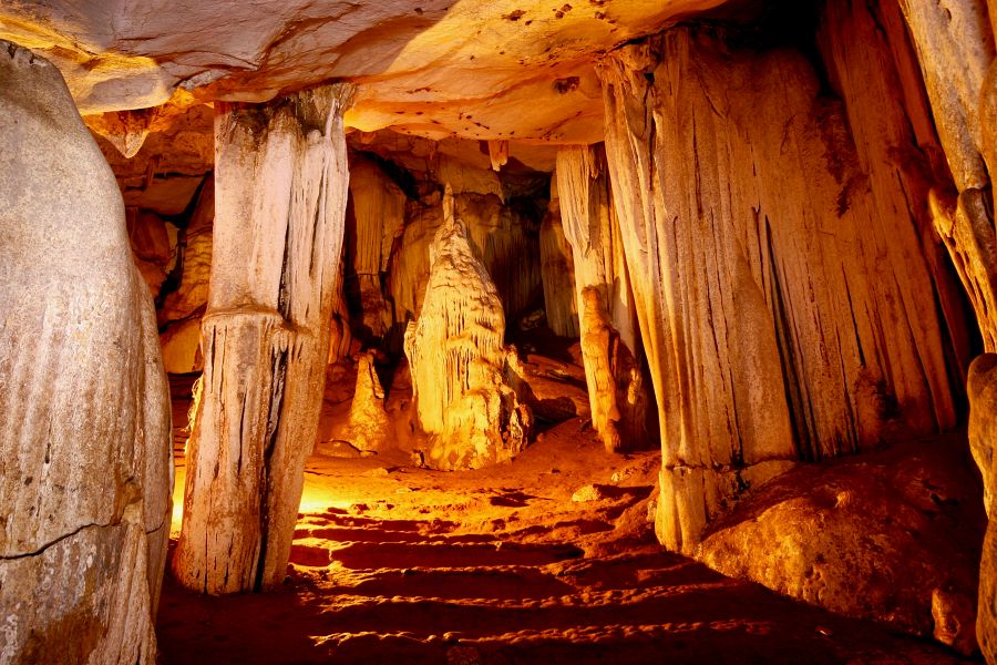 900 Resotel RS 2020 154