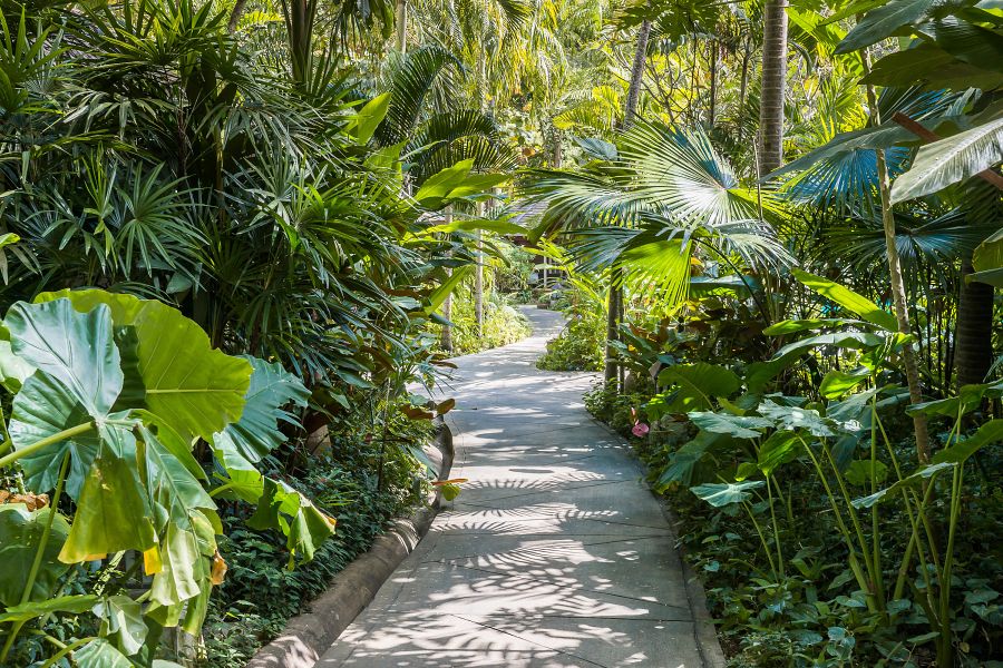 900 Resotel RS 2020 178