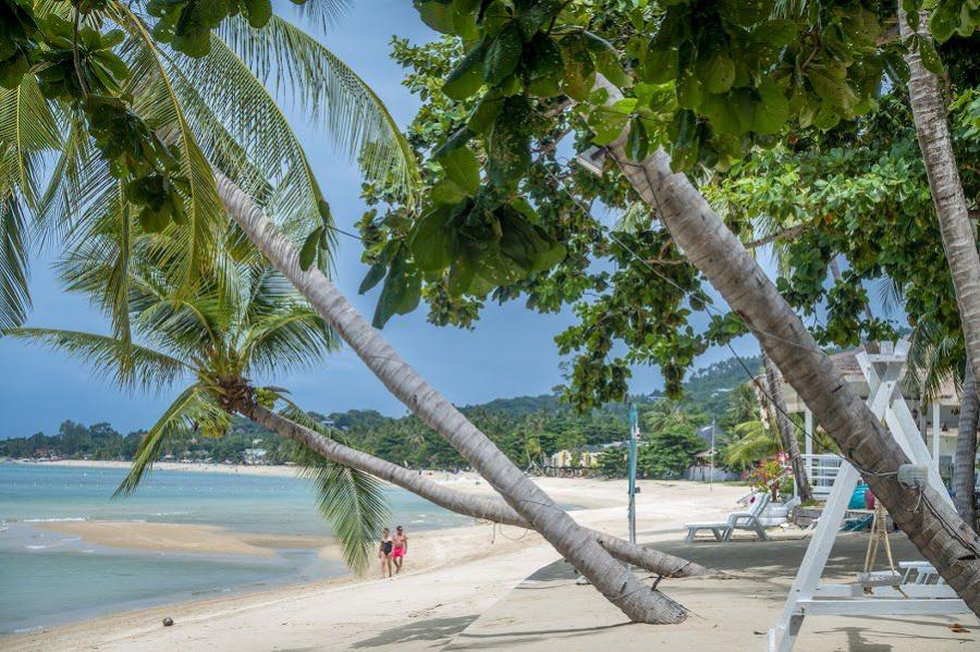 900 Sand Sea Beach R Blick nach Lamai Gallery 9