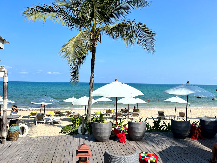 900 View from Rastauran 20230330 081310059 iOS