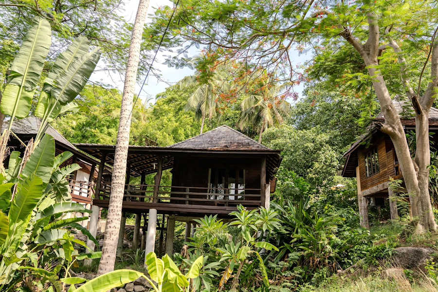 Web900 Deluxe Bungalow with garden view