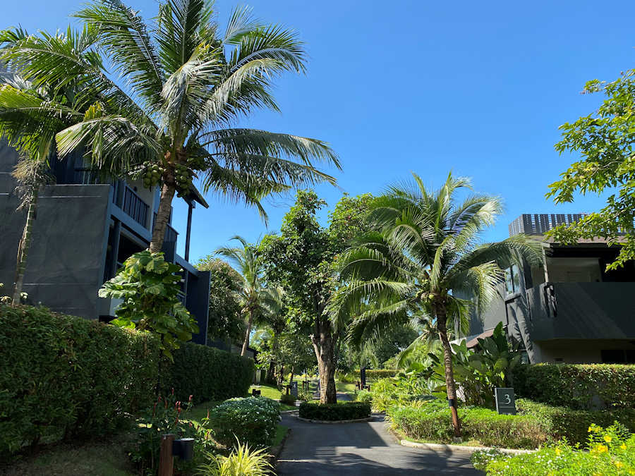 Web900 The ShellSea3