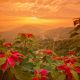 1280 sunrise over the town of Mae Salong north of the city Chiang Rai shutterstock 622228586